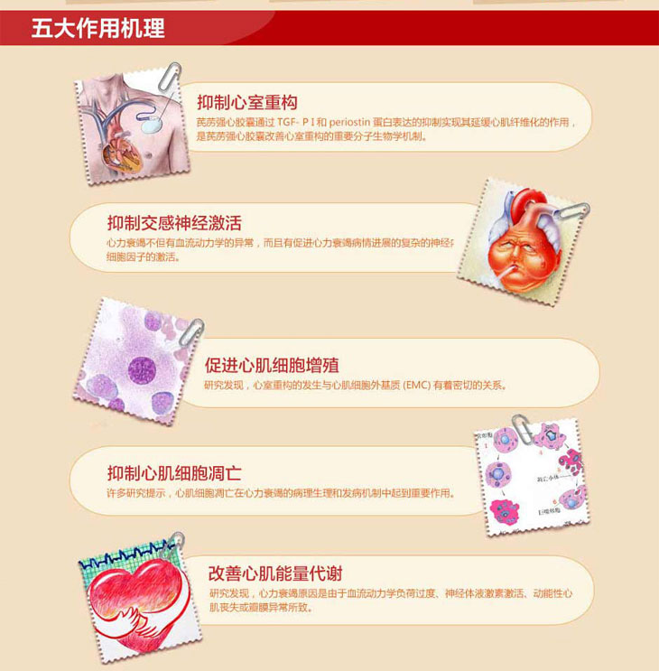 芪藶強心膠囊價格