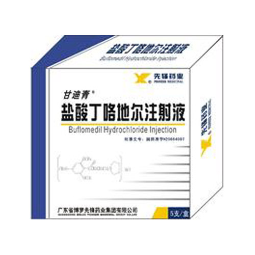 鹽酸丁咯地爾注射液(甘迪青)