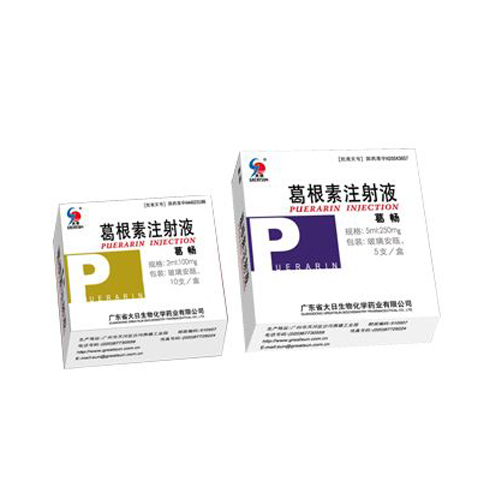 葛根素注射液(葛暢)