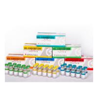 重組人粒細(xì)胞集落刺激因子注射液(瑞血新注射液)