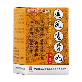 追風透骨丸(敬修堂)