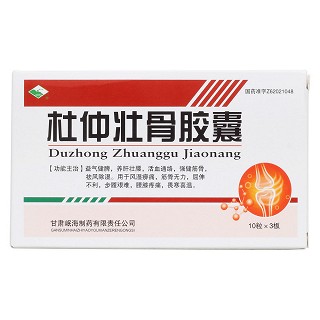 杜仲壯骨膠囊(岷州)包裝縮略圖1