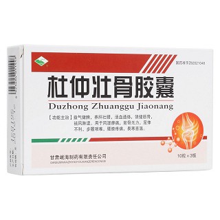 杜仲壯骨膠囊(岷州)
