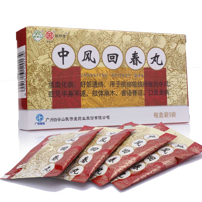 中風回春丸(中風回春丸)