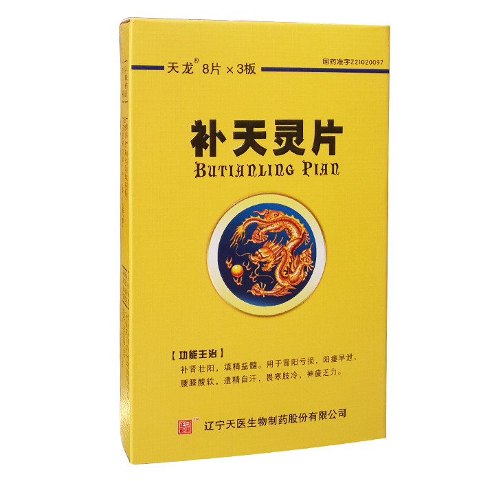 補天靈片(天龍)