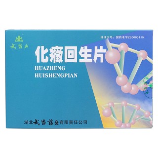 化癥回生片(武當山)包裝縮略圖1