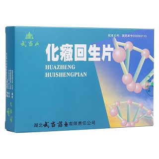 化癥回生片(武當(dāng)山)