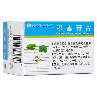 積雪苷片(現(xiàn)代)