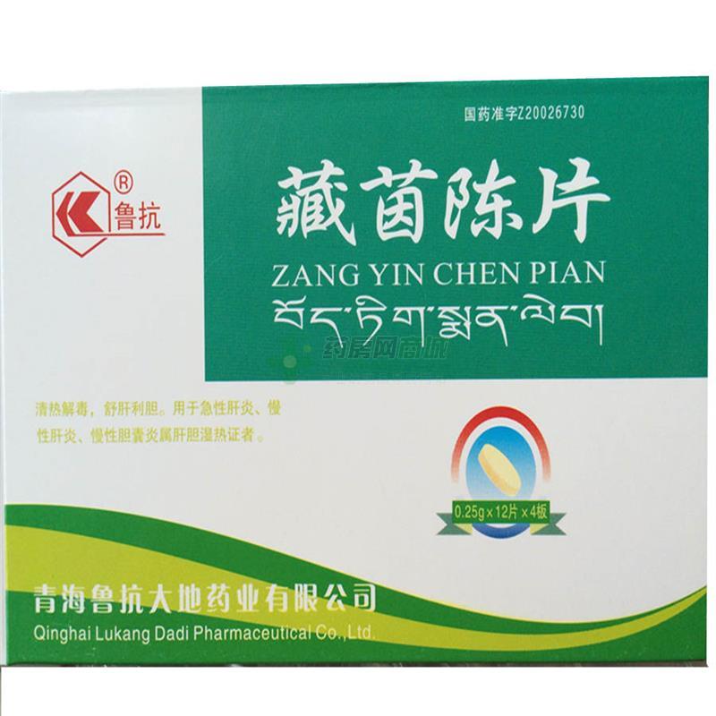 藏茵陳片(魯抗)