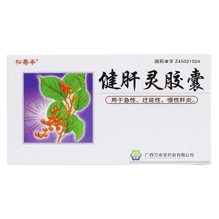 健肝靈膠囊(松壽平)包裝縮略圖1