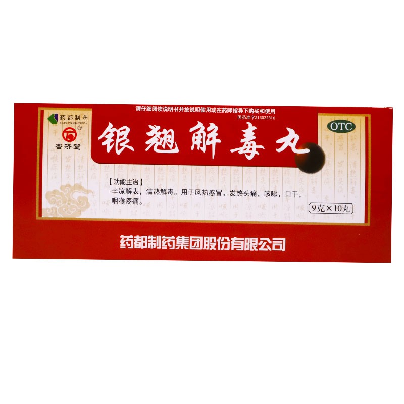 銀翹解毒丸(普濟堂)