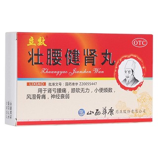 壯腰健腎丸(立效)