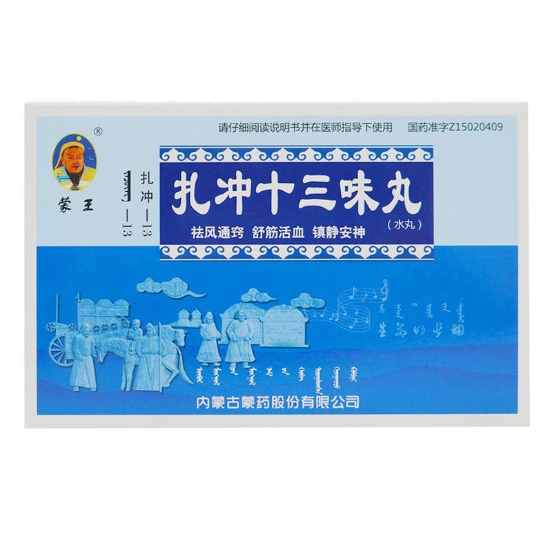 扎沖十三味丸(蒙王)